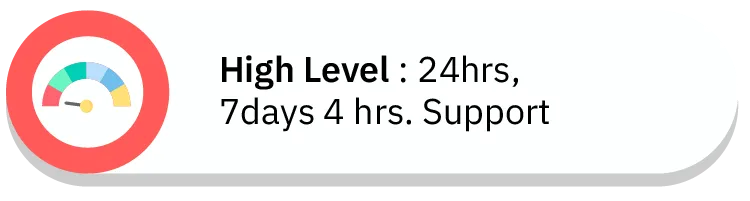 High Level : 24hrs, 7days 4 hrs. Support